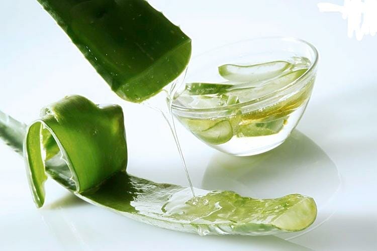 Chiết xuất nha đam (Aloe Vera Extract) dùng trong sản xuất mỹ phẩm